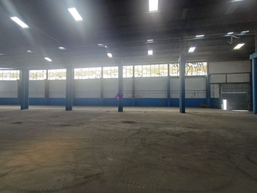 PP1658014.jpg