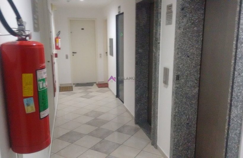 PP1818008.jpg
