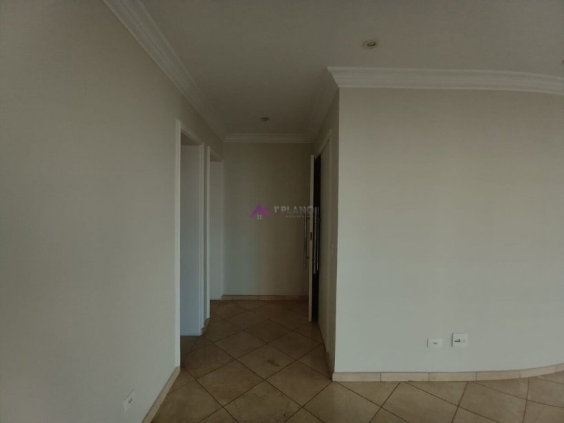 PP1625017.jpg