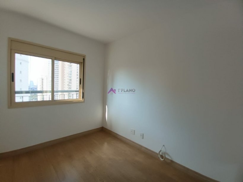 PP146041.jpg