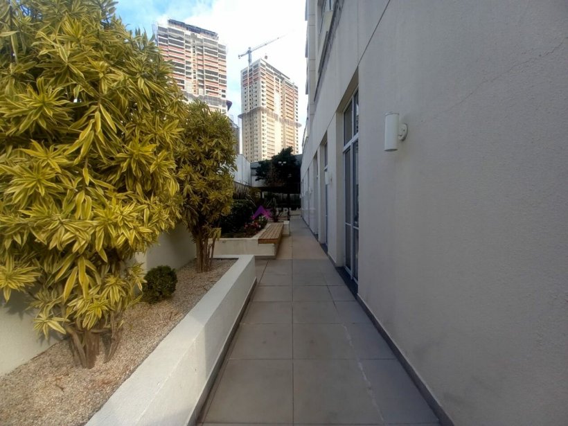 PP447019.jpg