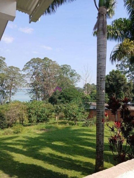 PP1660010.jpg