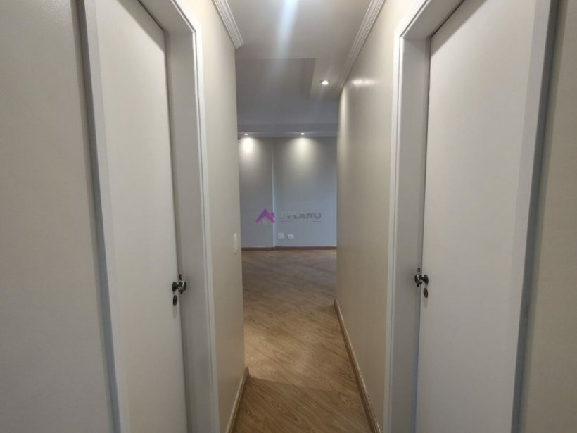 PP608033.jpg