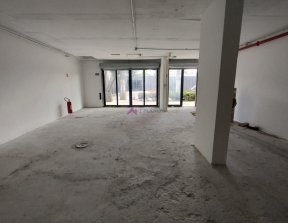 PP1639003.jpg