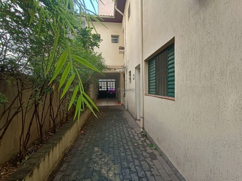 PP1748004.jpg