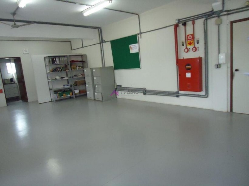 PP1654003.jpg