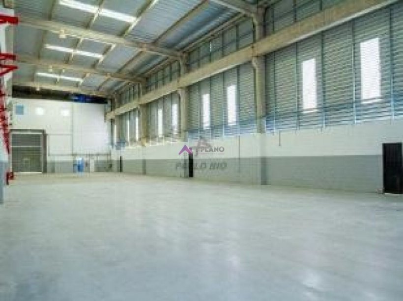 PP1663002.jpg