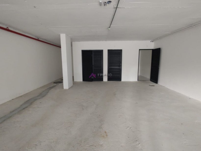 PP1639002.jpg