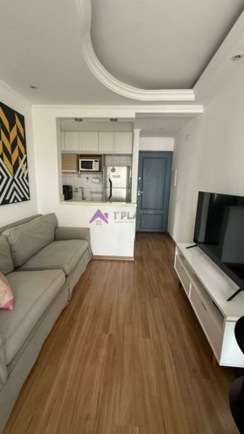 PP1565004.jpg