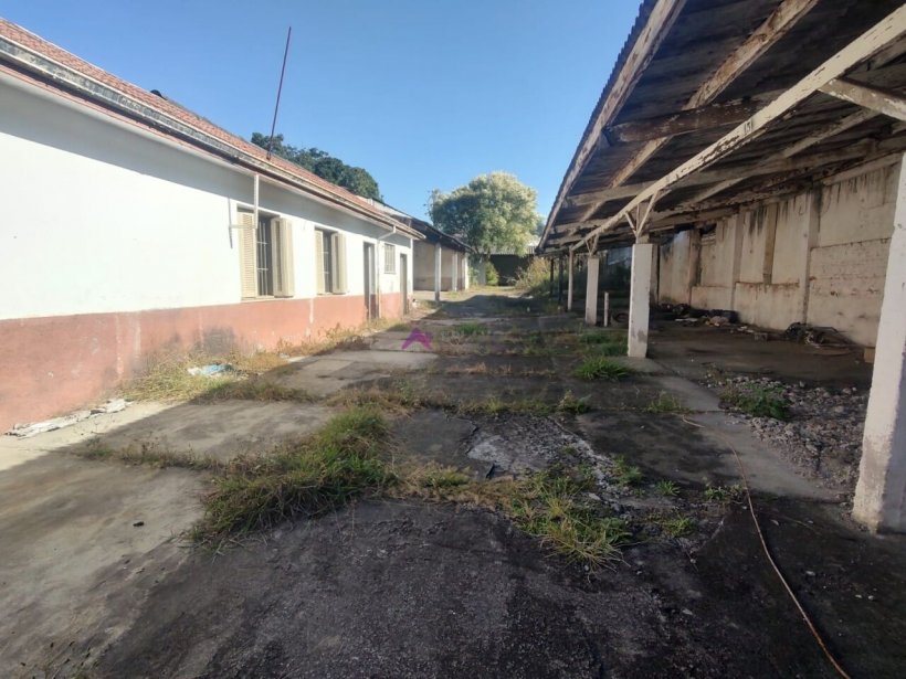 PP1712011.jpg