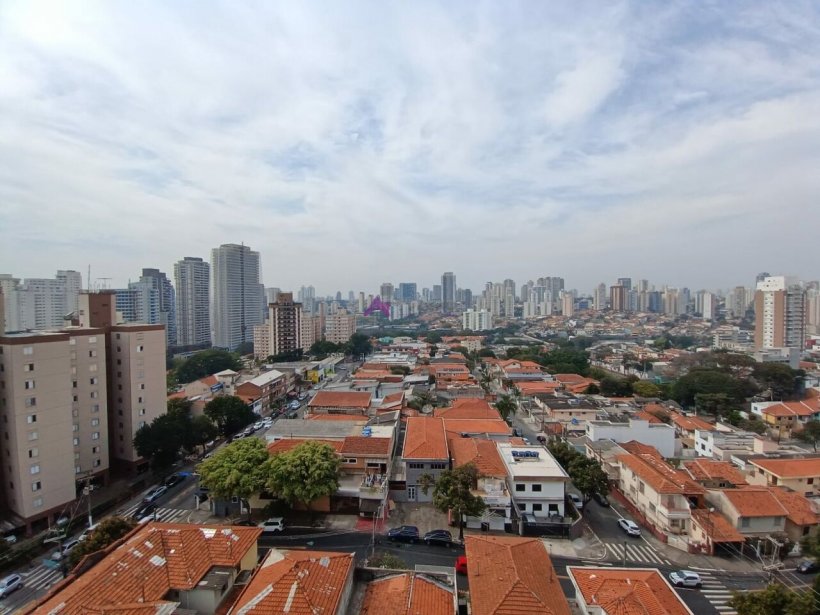 PP1220004.jpg