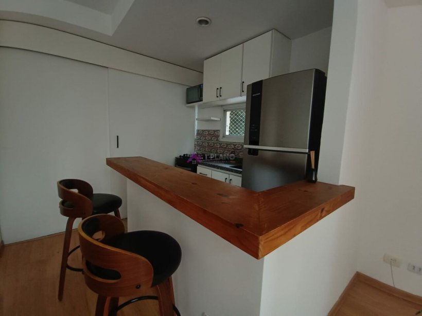 PP524028.jpg