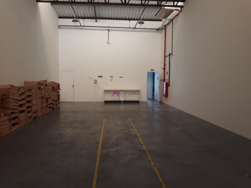 PP1670010.jpg