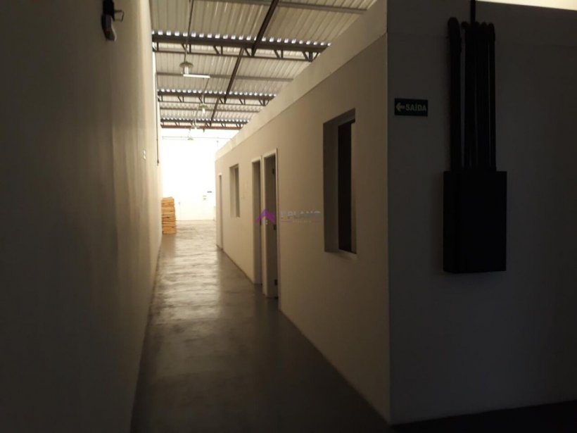 PP1670012.jpg
