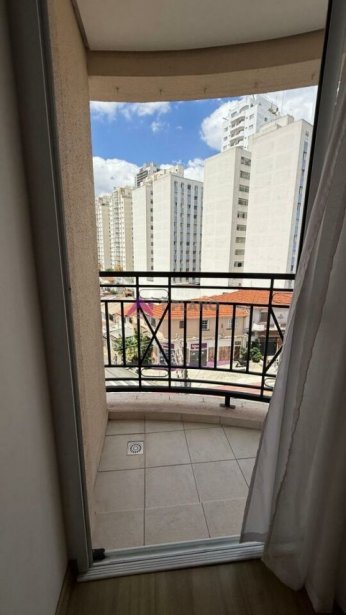PP1565015.jpg