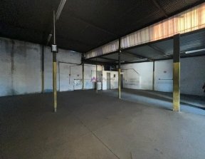 PP1727005.jpg