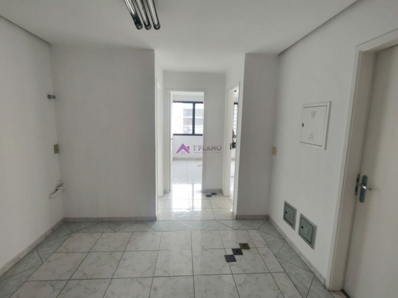 PP1593005.jpg