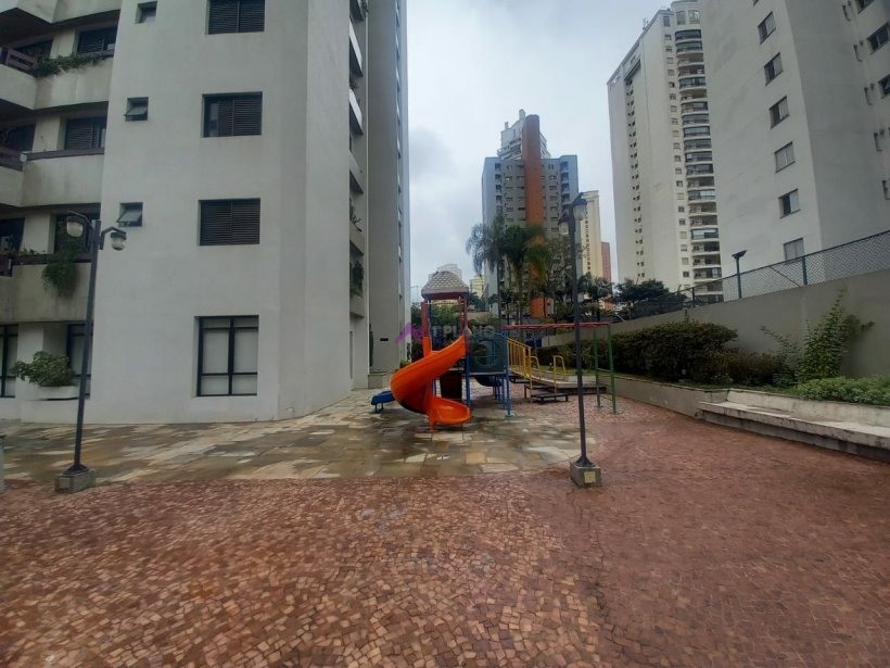 PP805027.jpg