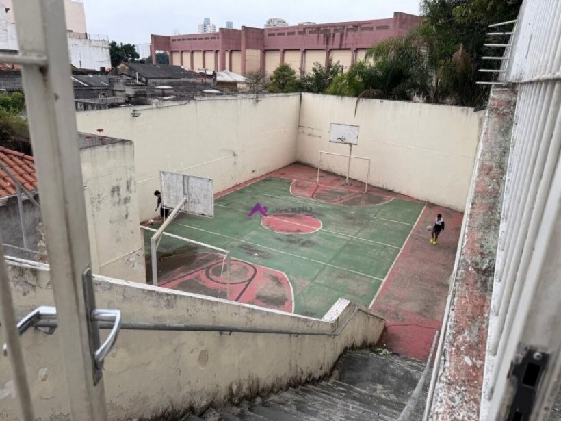 PP1798010.jpg