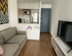 PP1565004.jpg