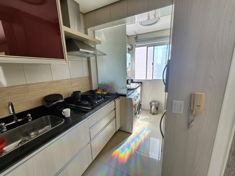 PP806019.jpg