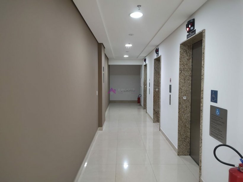 PP781008.jpg