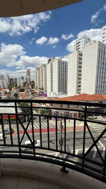 PP1565016.jpg