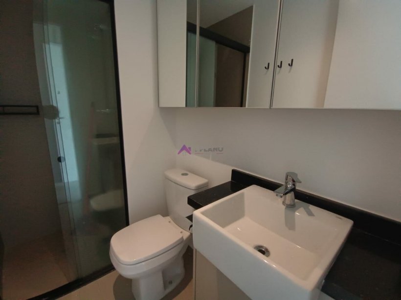 PP1548018.jpg