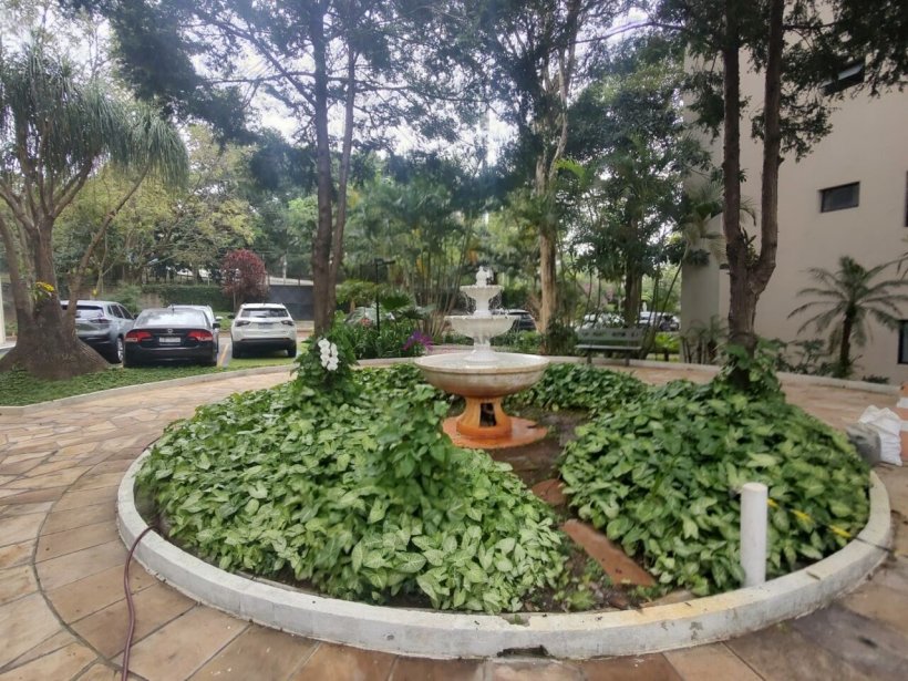 PP608004.jpg