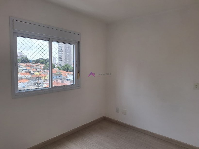 PP1401017.jpg