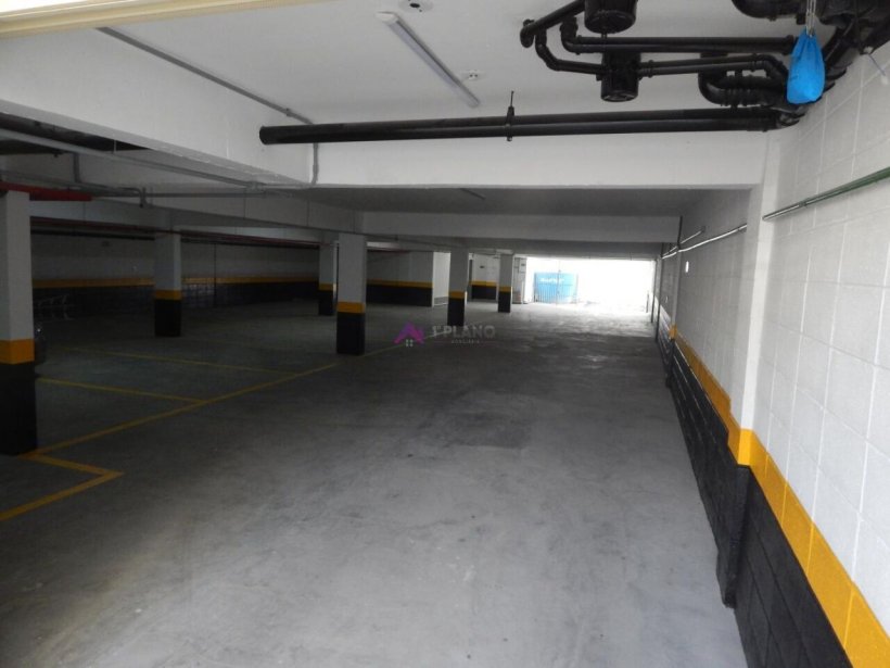 PP1669001.jpg
