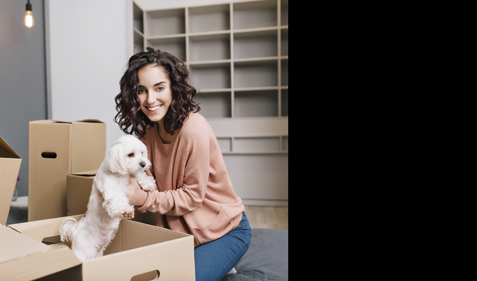 Animais de estimação podem ser proibidos em locação residencial?