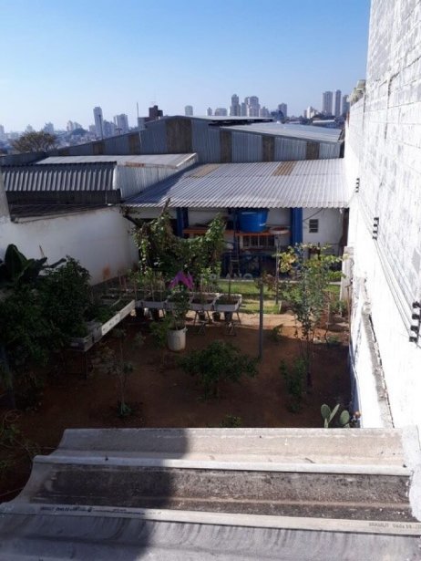 PP1687013.jpg
