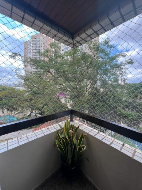 PP1526022.jpg