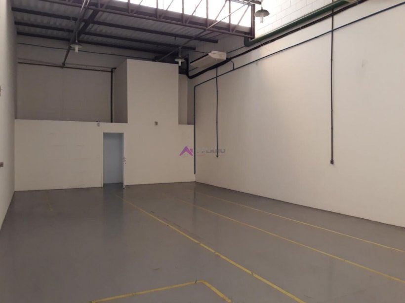 PP1670006.jpg