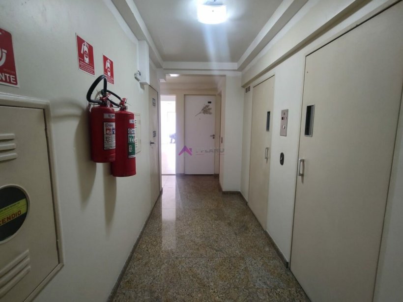 PP1551030.jpg