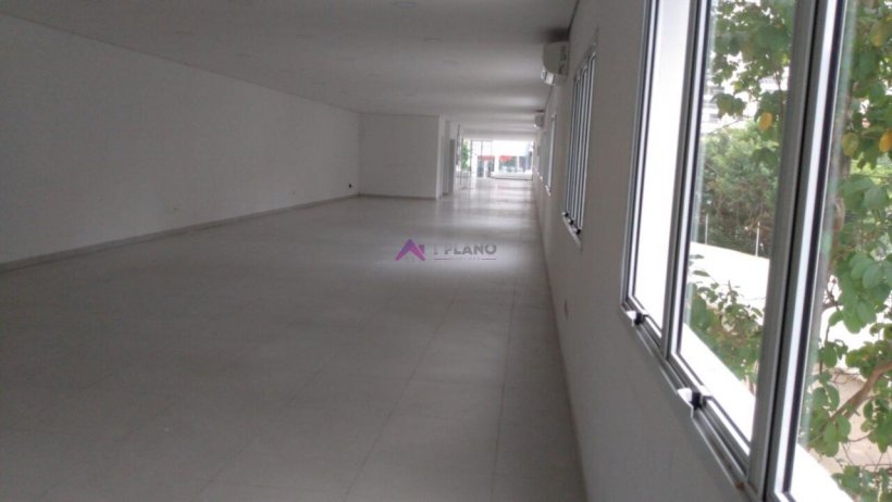 PP1668013.jpg