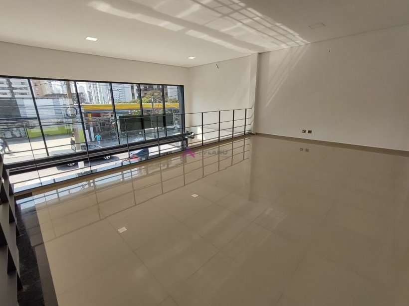 PP1259009.jpg