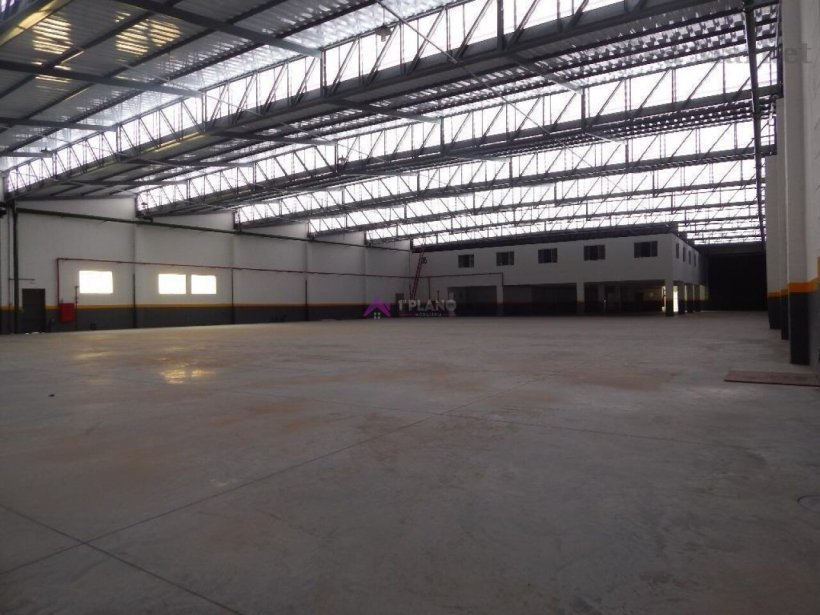 PP1673023.jpg