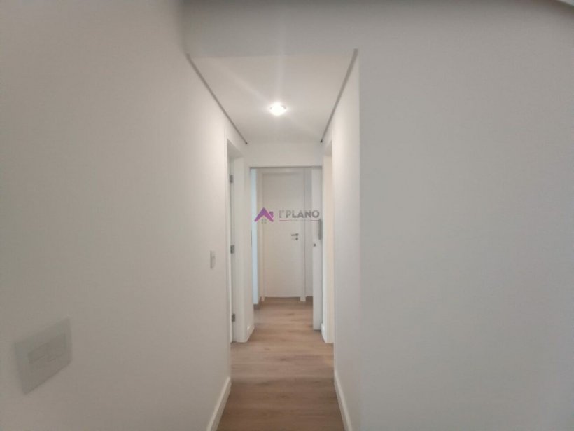 PP1133017.jpg