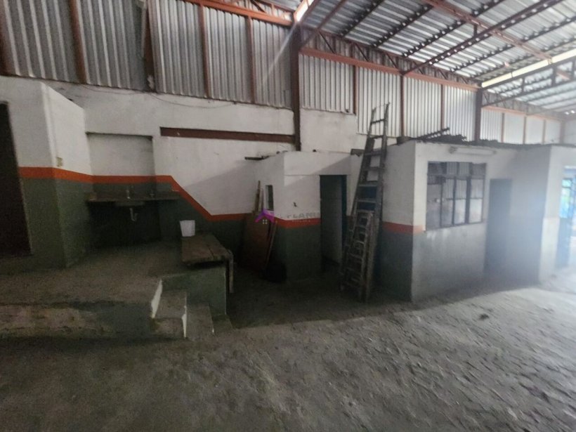 PP1722014.jpg