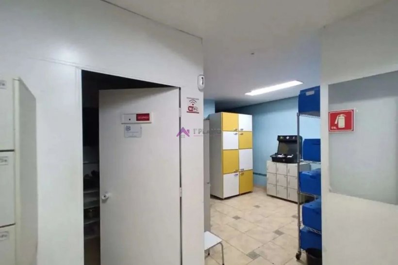 PP1827007.jpg