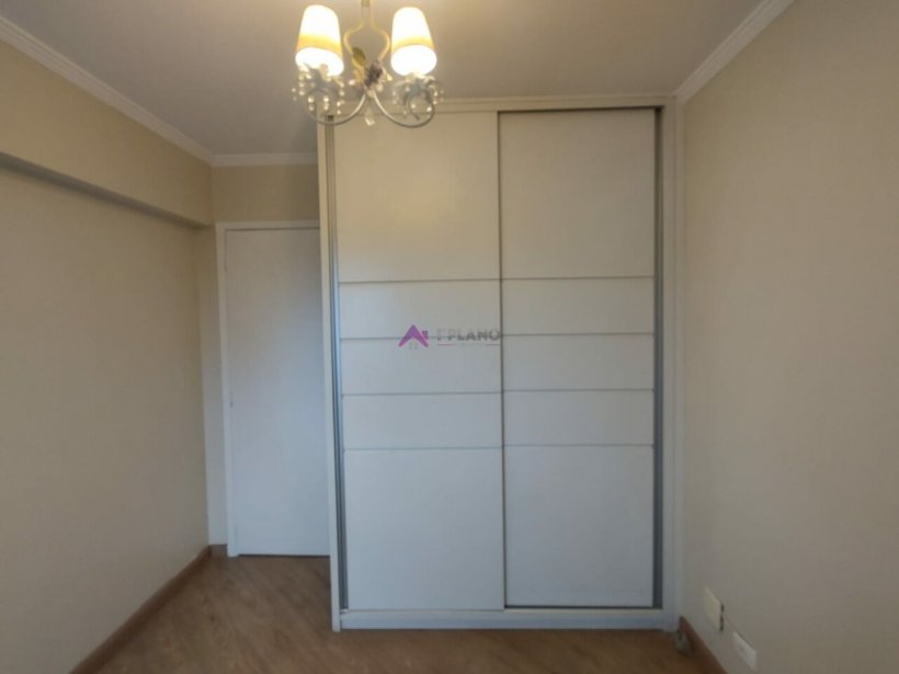 PP608029.jpg
