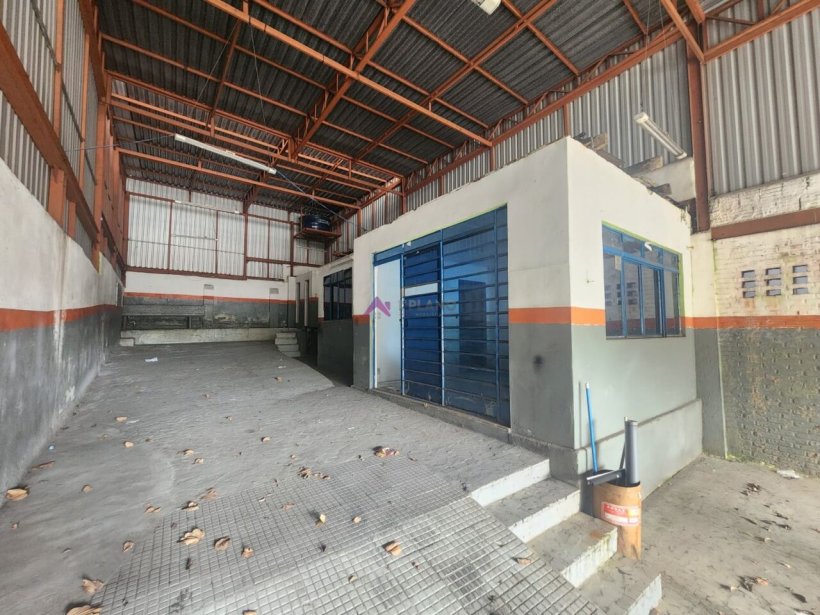 PP1722018.jpg