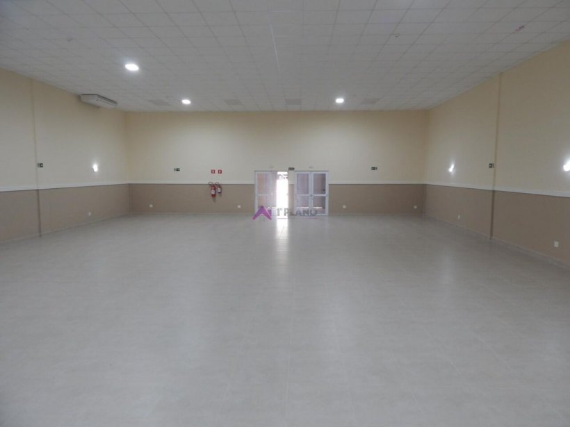 PP1669013.jpg