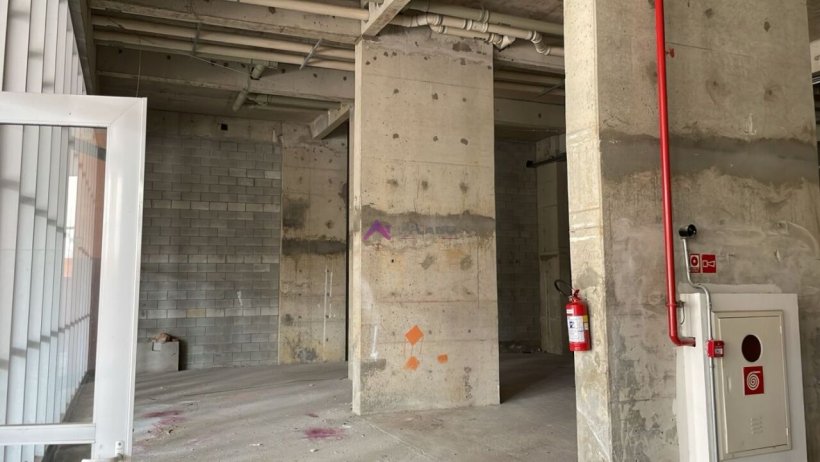 PP1675013.jpg