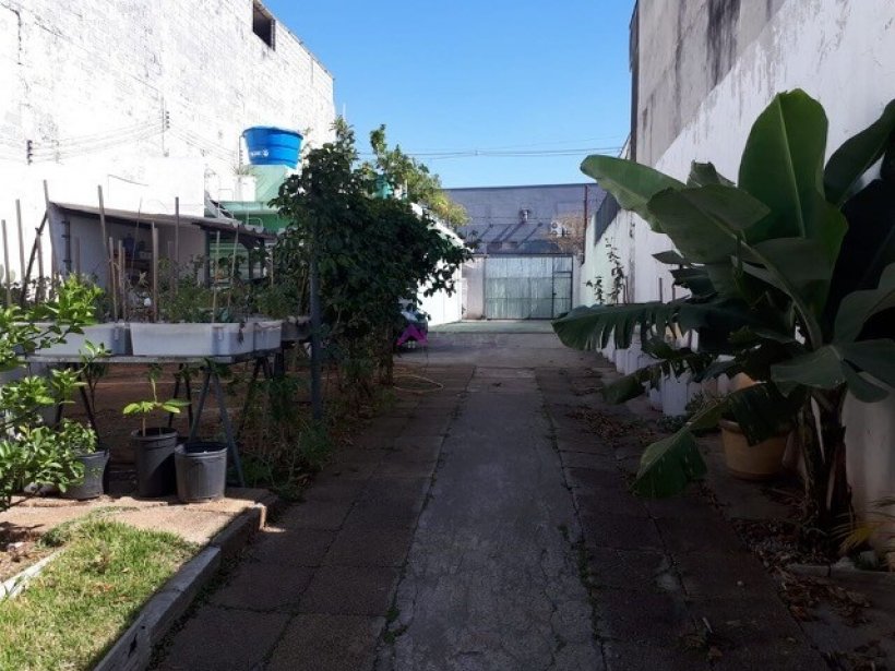 PP1687008.jpg