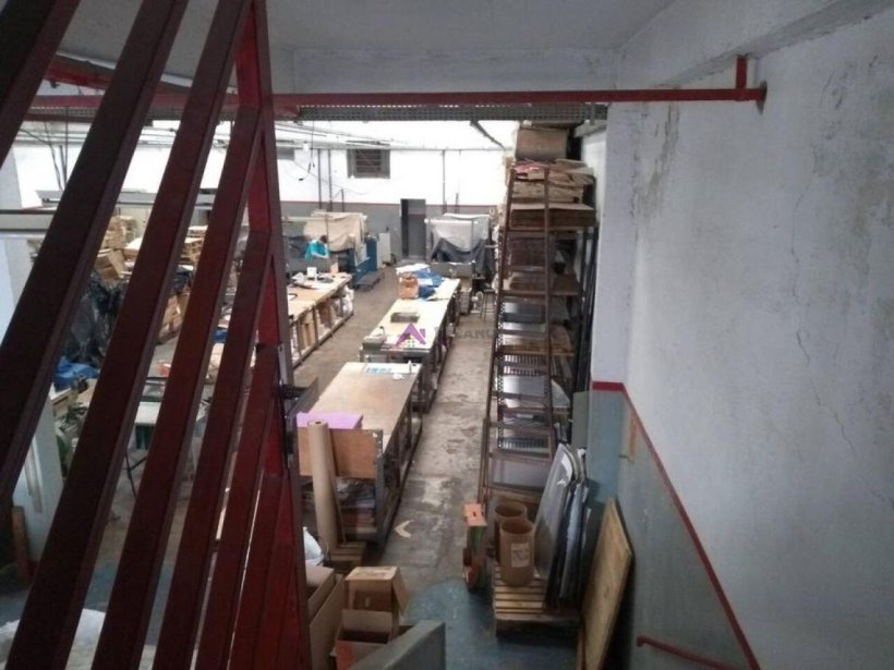 PP1653011.jpg