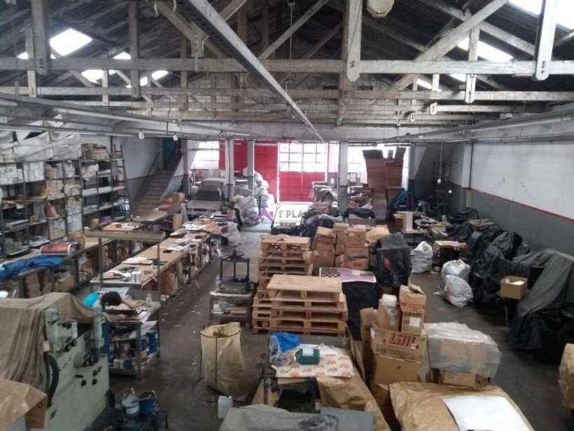 PP1653016.jpg