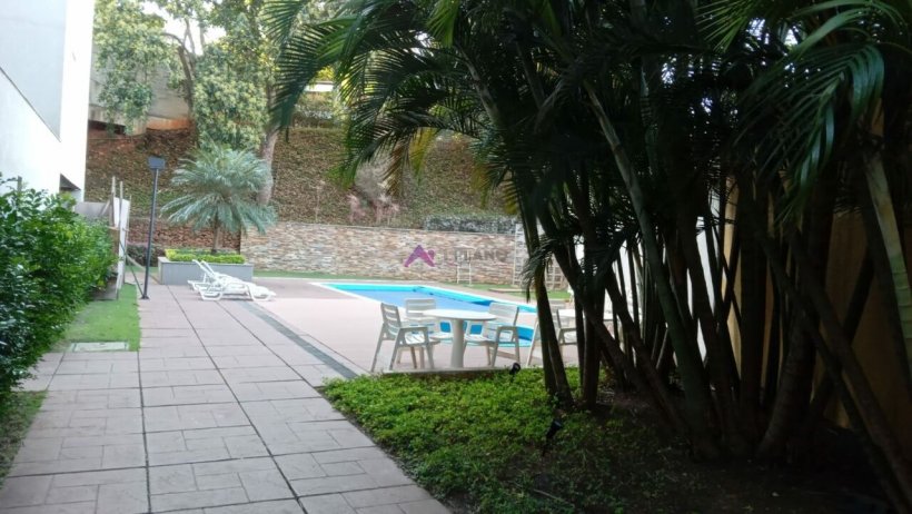 PP473020.jpg